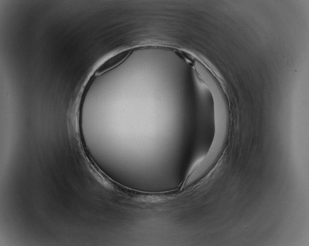 X0000086731246200705111608