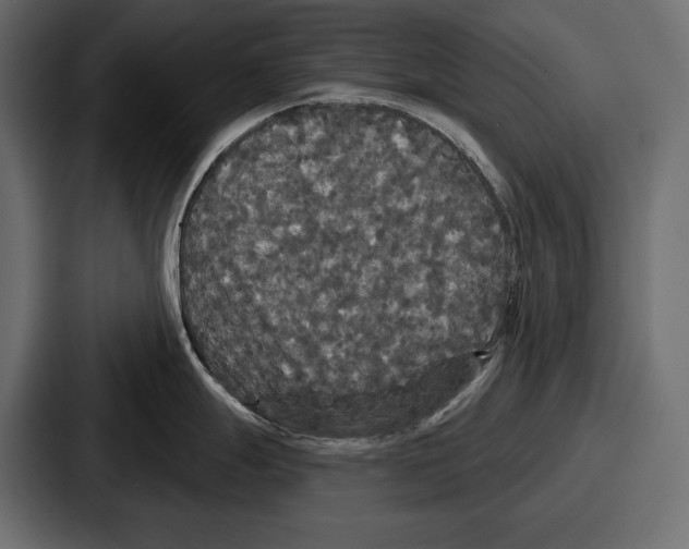 X0000086731247200705111608