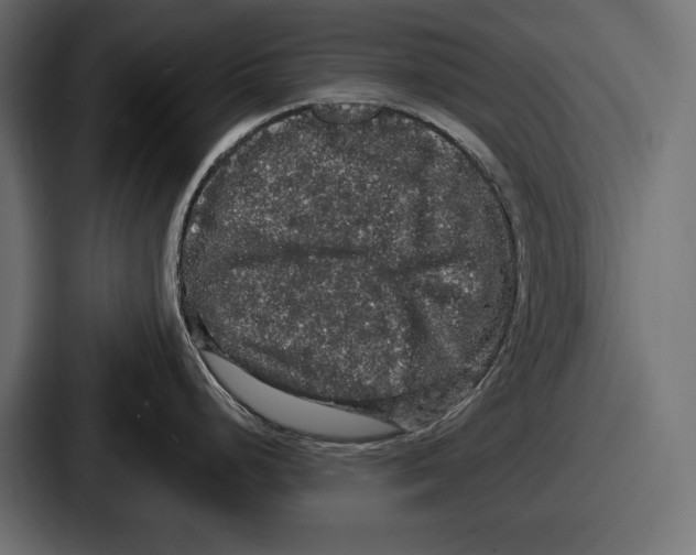 X0000086731248200705111608