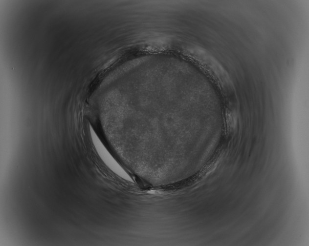 X0000086731250200705111608