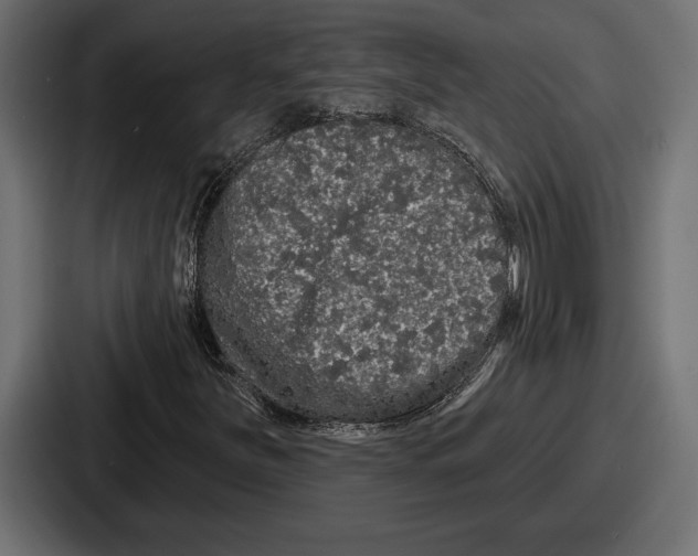 X0000086731251200705111608