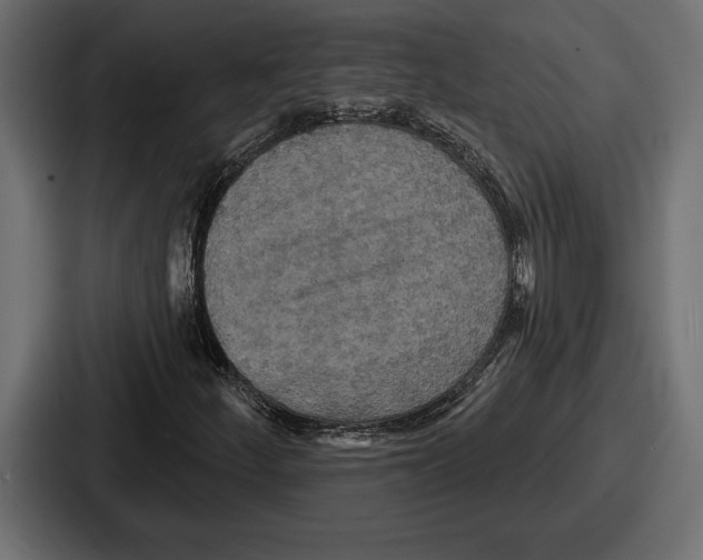 X0000086731252200705111608
