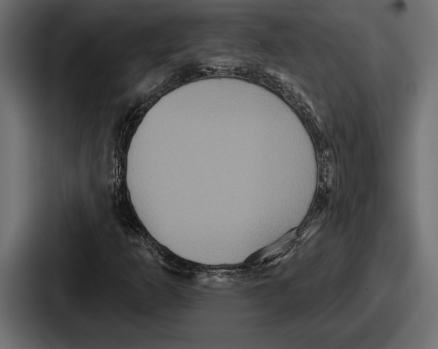 X0000086731253200705111608
