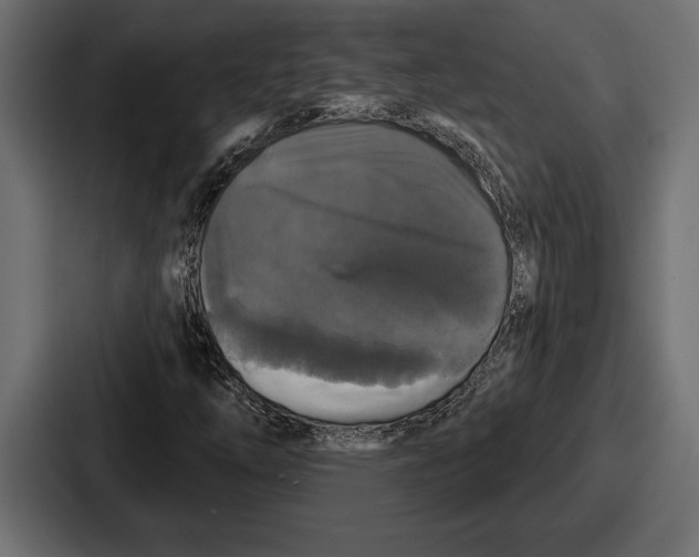 X0000086731254200705111608