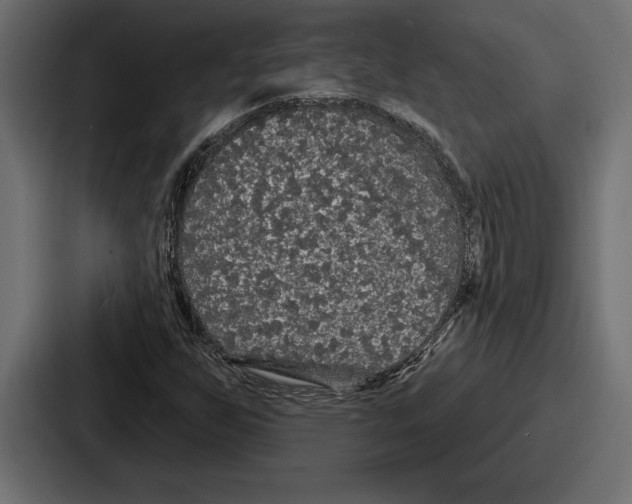 X0000086731255200705111608