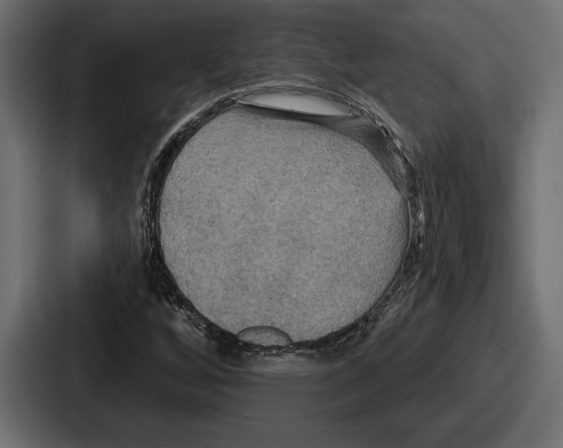 X0000086731256200705111608