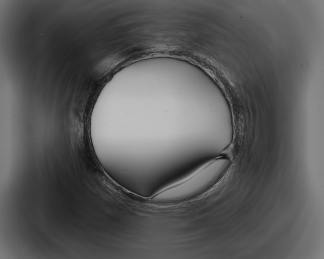 X0000086731257200705111608