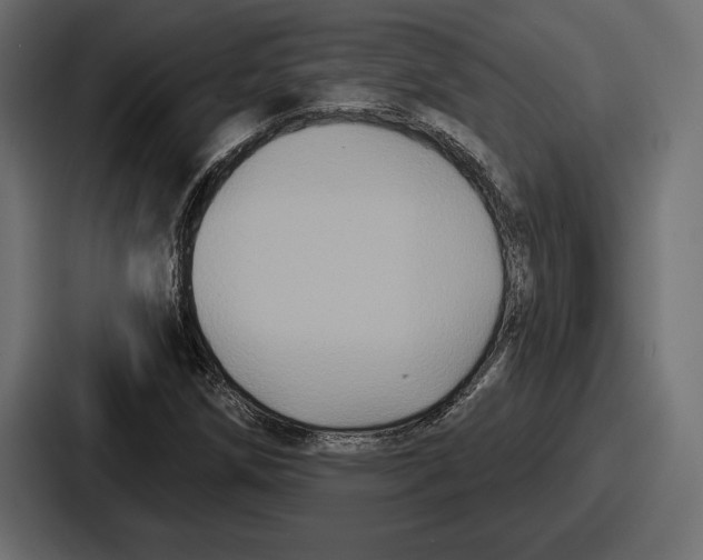 X0000086731258200705111608