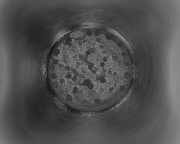 X0000086731259200705111608
