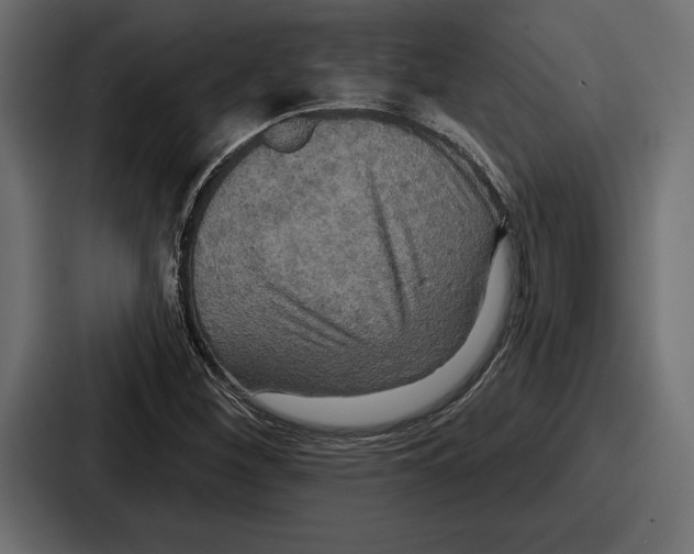 X0000086731260200705111608