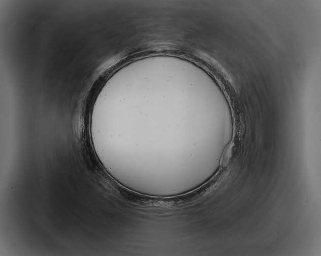 X0000086731261200705111608
