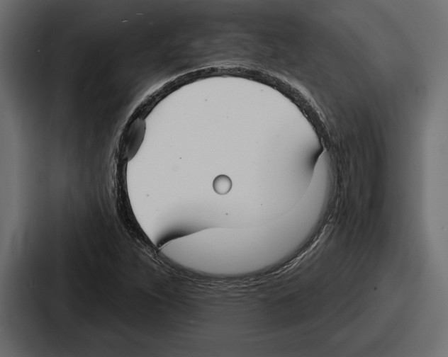 X0000086731263200705111608