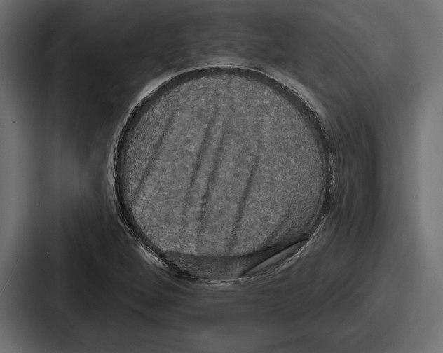 X0000086731264200705111608