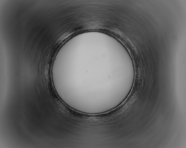 X0000086731265200705111608