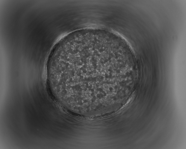 X0000086731267200705111608