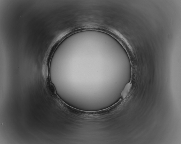X0000086731269200705111608