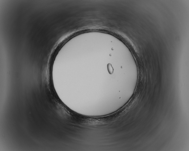 X0000086731270200705111608