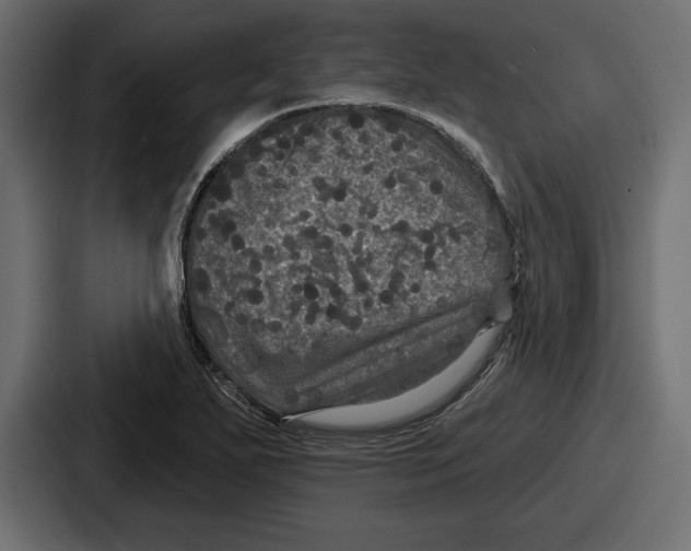 X0000086731271200705111608