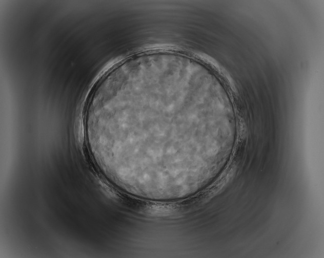 X0000086731274200705111607