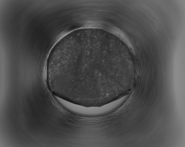 X0000086731276200705111607