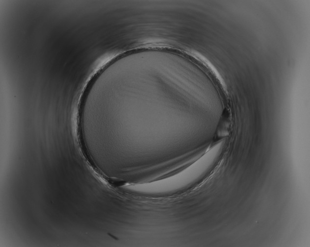 X0000086731277200705111607