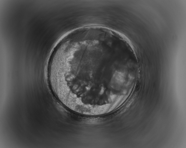 X0000086731279200705111607