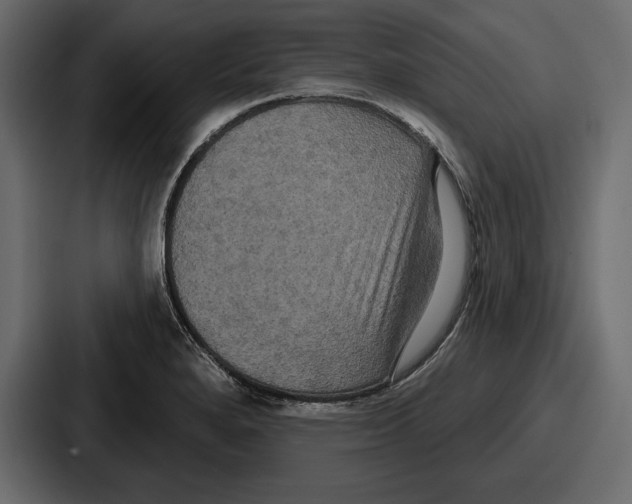 X0000086731280200705111607