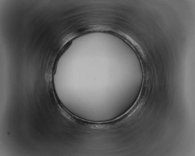 X0000086731281200705111607