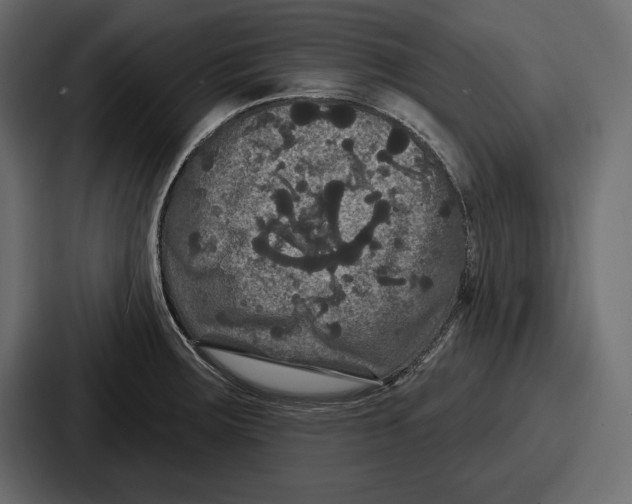 X0000086731283200705111607