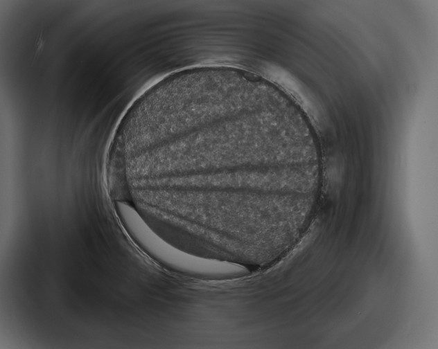 X0000086731284200705111607
