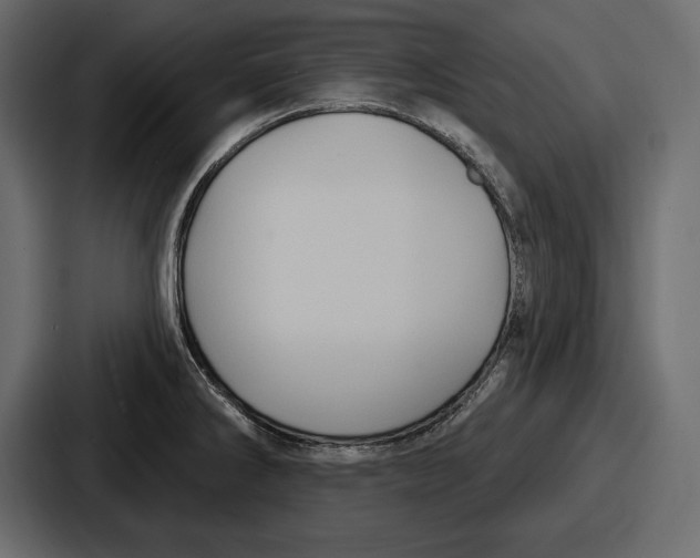 X0000086731286200705111607