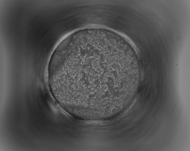 X0000086731287200705111607