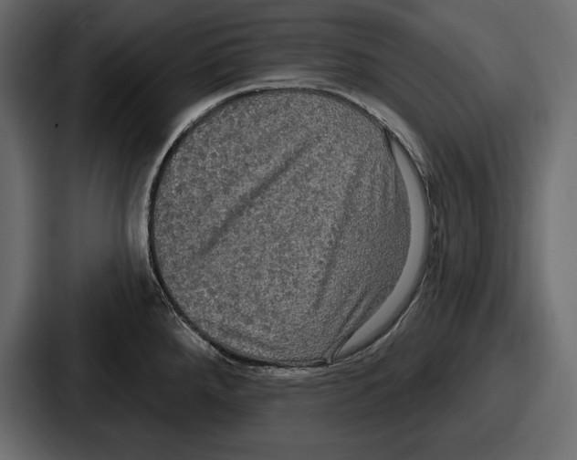 X0000086731288200705111607
