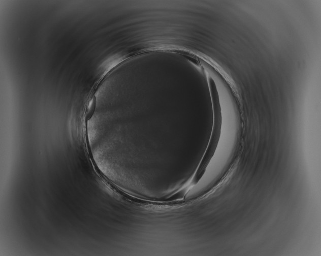 X0000086731289200705111607