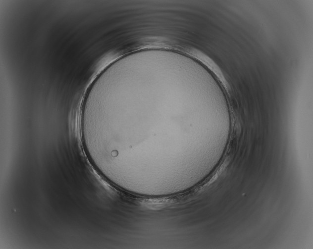 X0000086731290200705111607