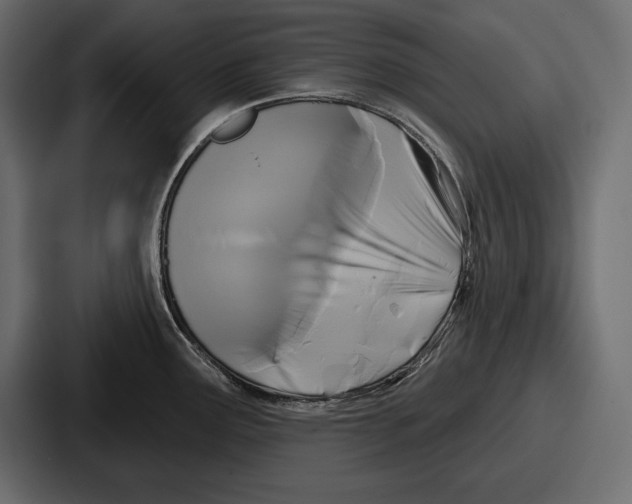X0000086731291200705111607