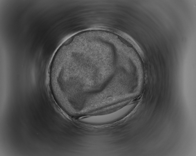 X0000086731292200705111607