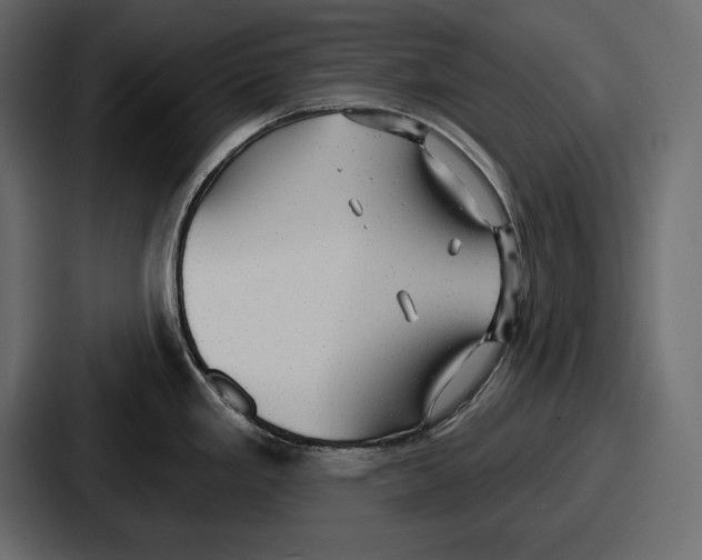 X0000086731293200705111607