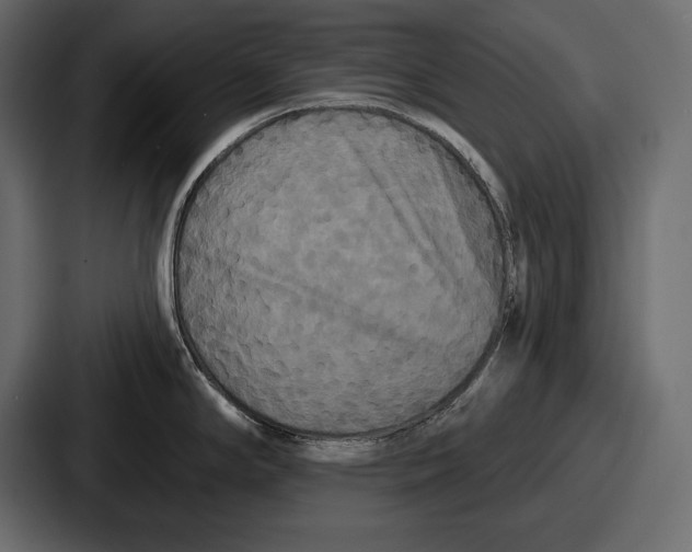 X0000086731294200705111607