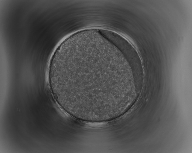 X0000086731296200705111607