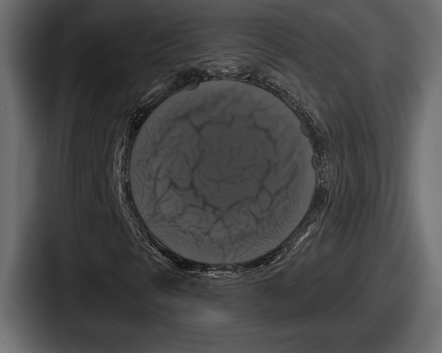 X0000086731297200705111607