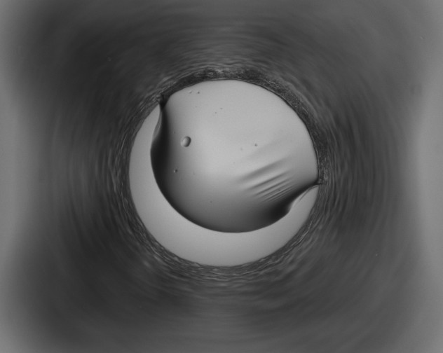 X0000086731298200705111607