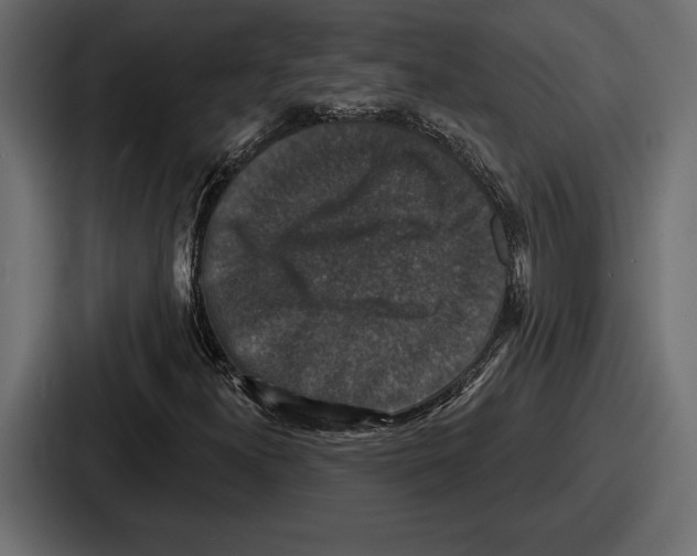 X0000086731300200705111607