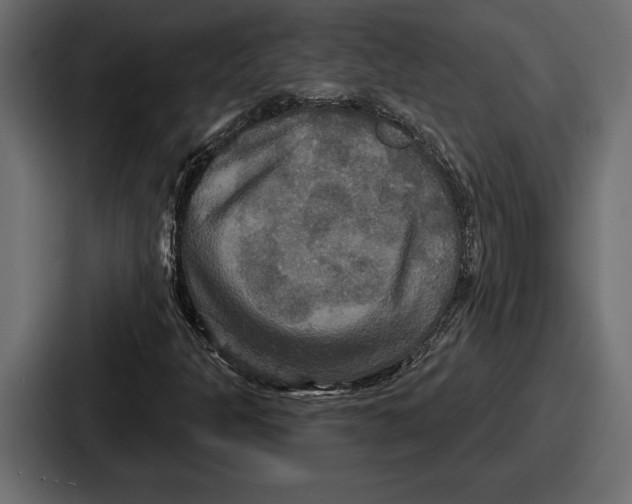 X0000086731301200705111607