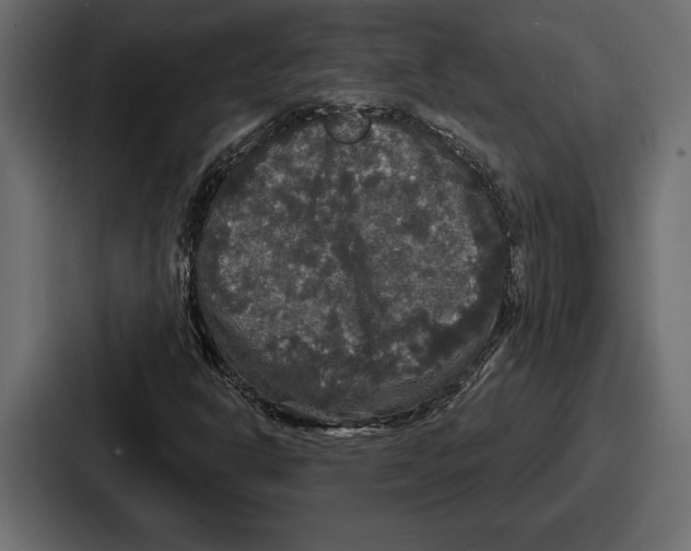 X0000086731302200705111607
