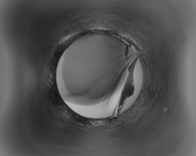 X0000086731303200705111607