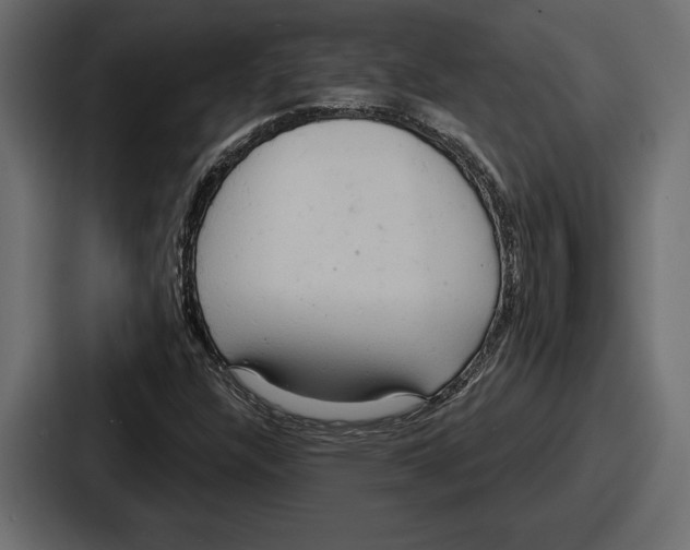 X0000086731304200705111607