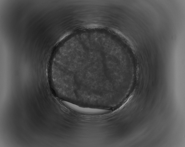 X0000086731305200705111607