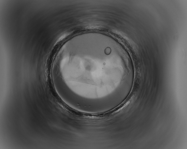 X0000086731306200705111607
