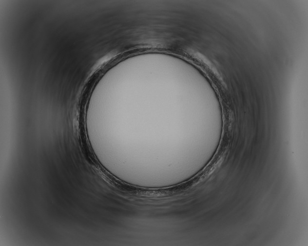 X0000086731307200705111607